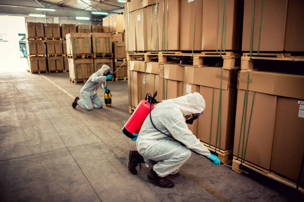 Best Pest Control Treatment  in Oradell, NJ