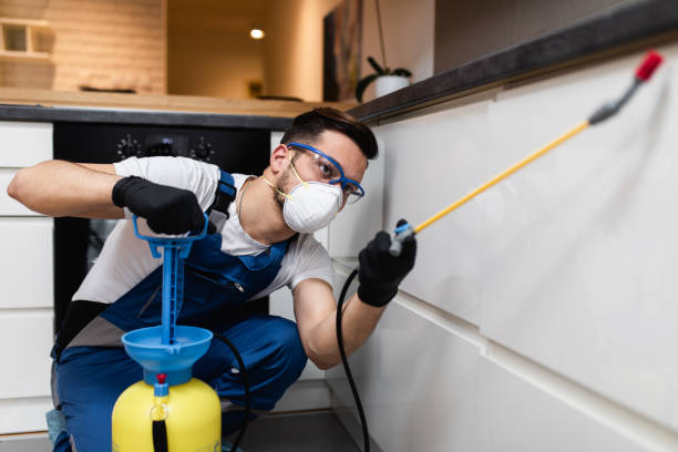 Best Ant Control Services  in Oradell, NJ