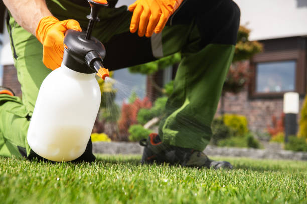 Best Rat Extermination Near Me  in Oradell, NJ