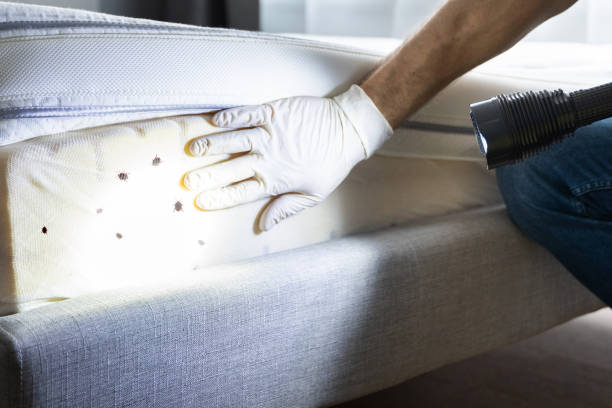 Best Pest Prevention Services  in Oradell, NJ