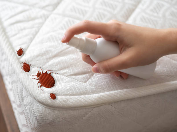 Best Affordable Pest Control Services  in Oradell, NJ