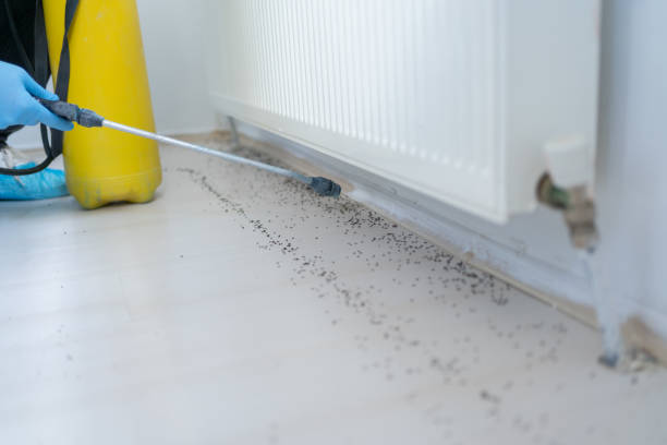 Best Wildlife Control Services  in Oradell, NJ
