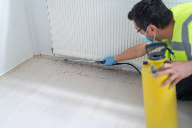 Best Pest Removal Services  in Oradell, NJ